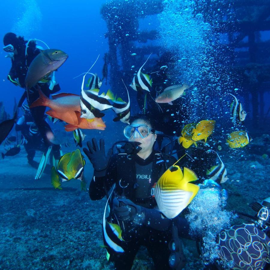 Green Island Ocean Rhythem Dive B&B 綠島海韻民宿 Exterior foto